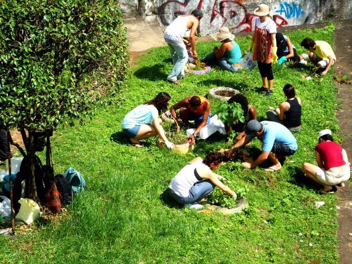 OFICINAS GRATUITAS DE JARDINAGEM, ECOLOGIA E ARTE URBANA EM SALVADOR