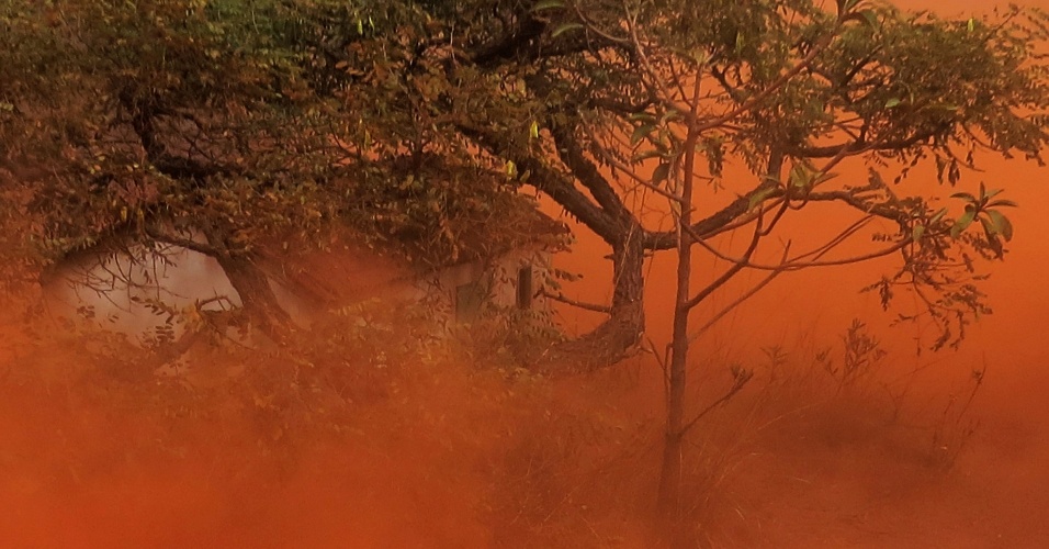 NIURA BELLAVINHA – EM TORNO DA LUZ