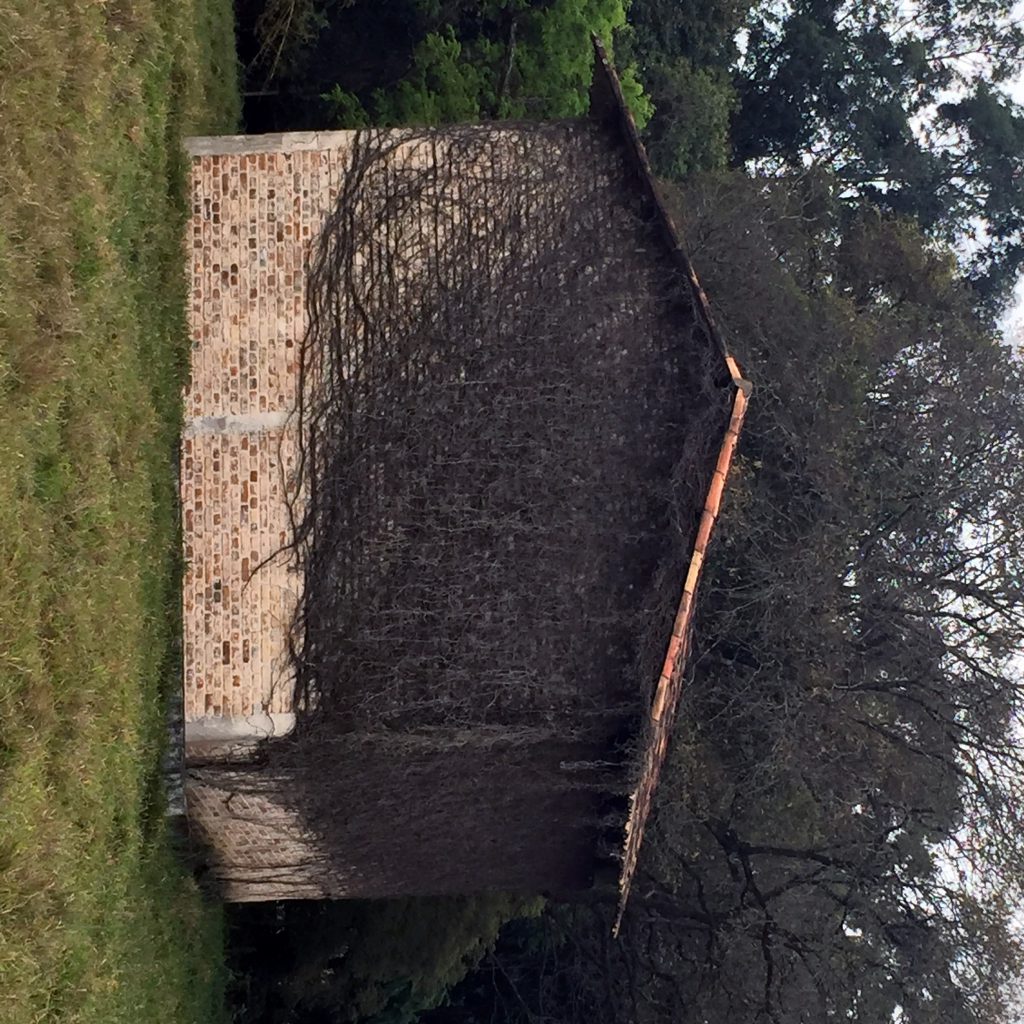 GRANDE CAMPO