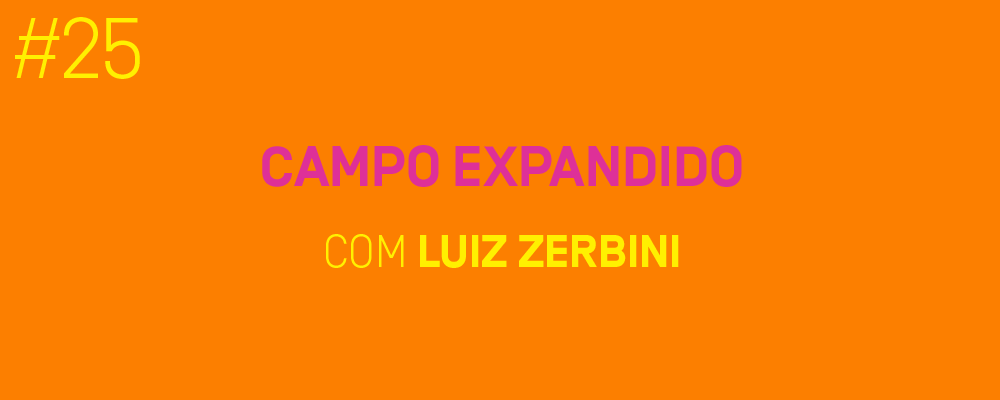 Site_MicrofoneAberto_LuizZerbini_25