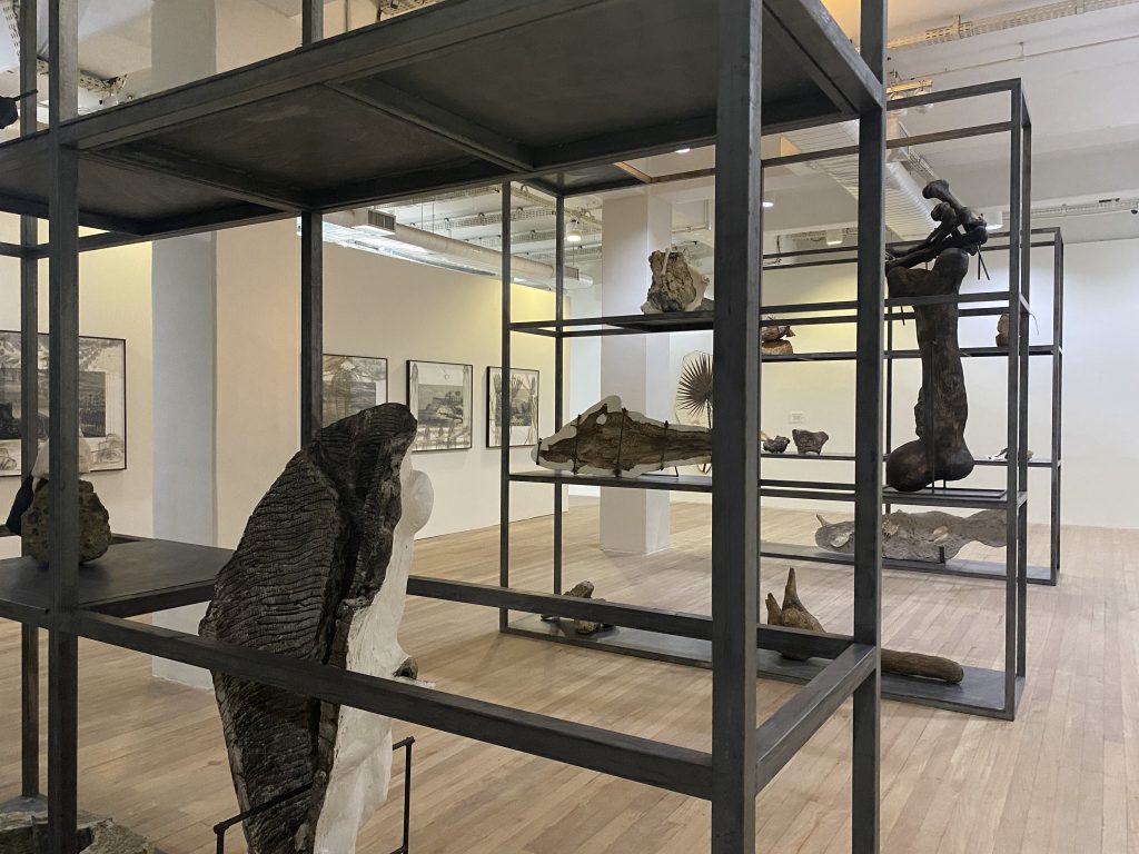 Arte e paleontologia se misturam? Fossilium mostra que essa combinação dá liga!